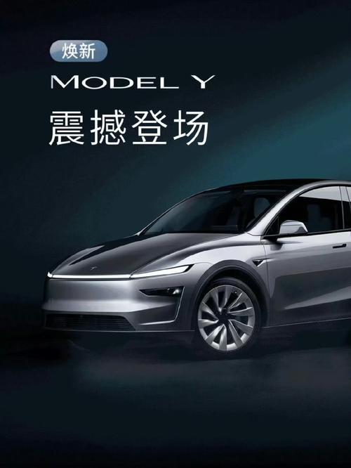 modely要不要20寸/modely买19寸还是20寸