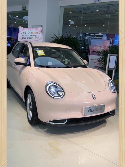 欧拉猫猫 欧拉猫2022